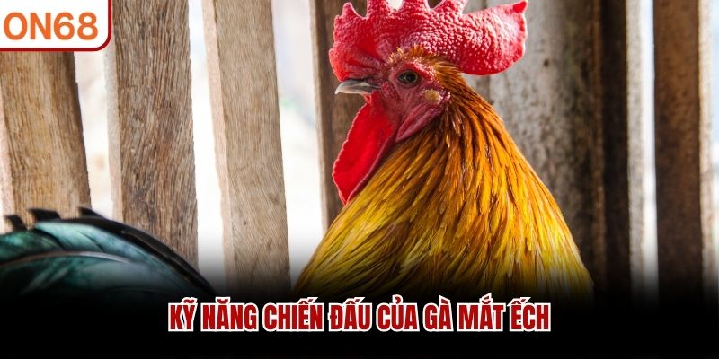 Kỹ năng chiến đấu của gà mắt ếch